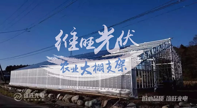 上海维旺光电(vgsolar)以农业大棚光伏支架