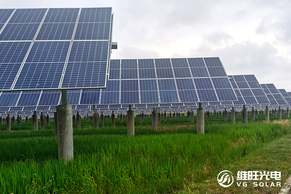 连下两城！维旺光电（VG Solar）自研跟踪支架登陆欧洲，开启出海奋斗新篇章