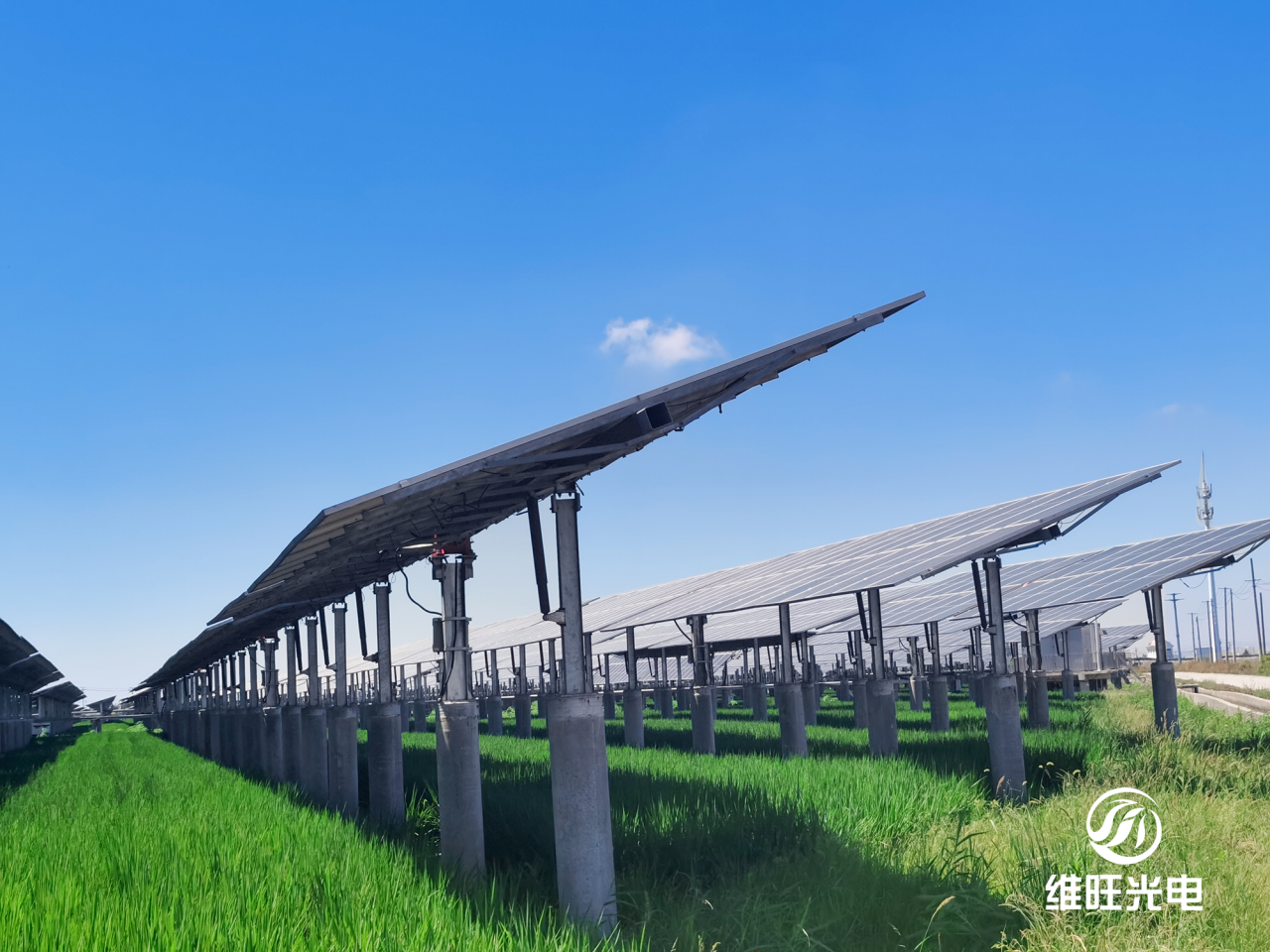 PV-Tech深度对话：A轮近亿元融资、业绩翻倍，光伏“黑马”快速崛起